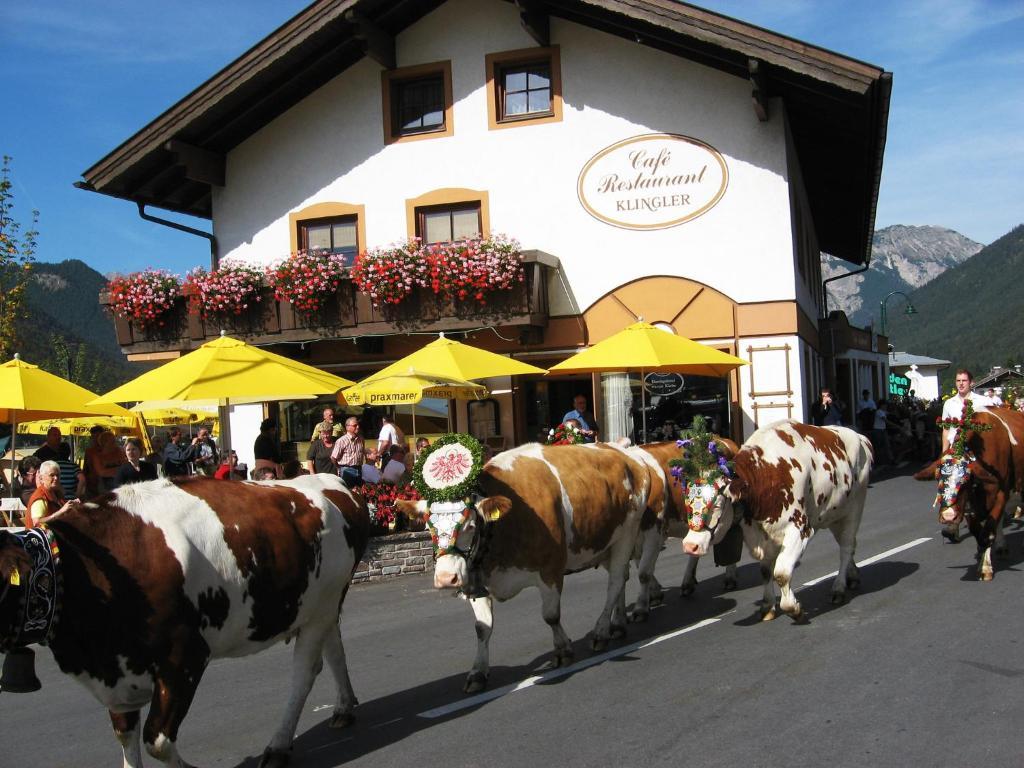Hotel-Café-Restaurant Klingler Maurach (Achensee) Exterior foto